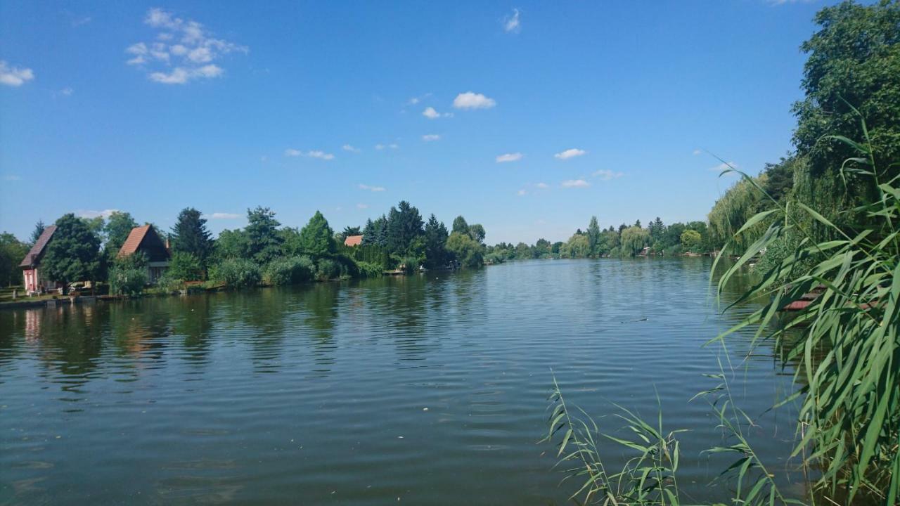 Tobak vendégház Békésszentandrás Extérieur photo